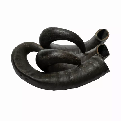Water Buffalo Horn Dog Chews - 2 Count