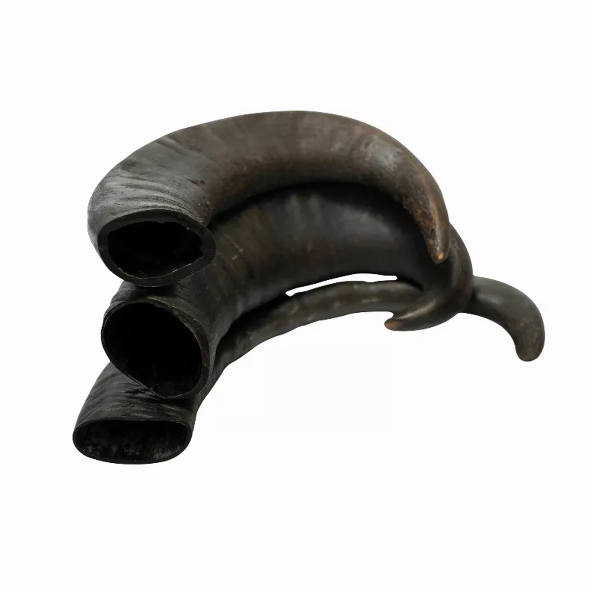Water Buffalo Horn Dog Chews - 2 Count