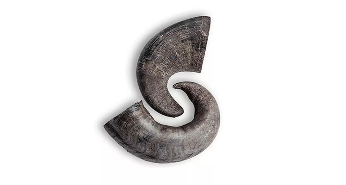 Water Buffalo Horn Dog Chews - 2 Count