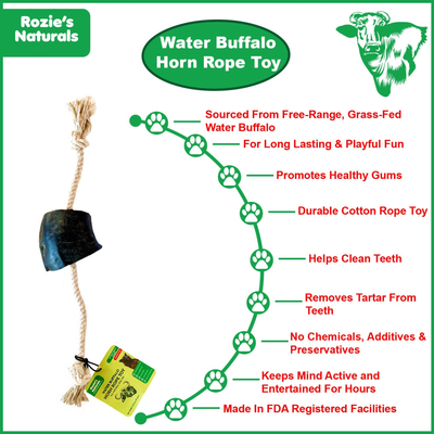 Water Buffalo Horn Rope Tug Dog Toy - 2 Count
