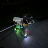 Dog Shoes with Cool Gradient Flashing Lights