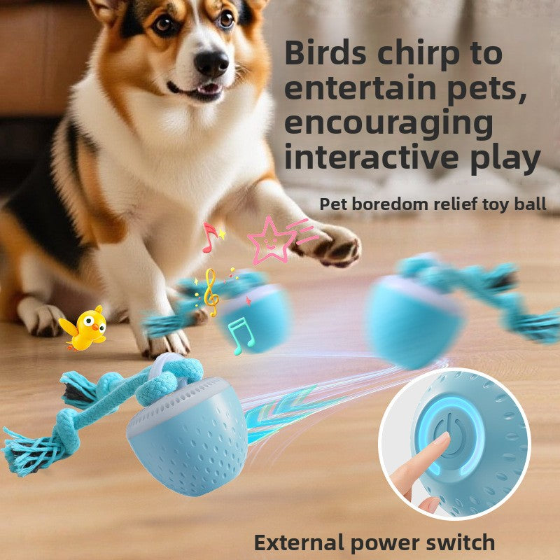 Interactive Rechargeable Dog Toy Ball
