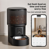 Pet Intelligent Feeder