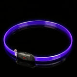 LED Dog Collar