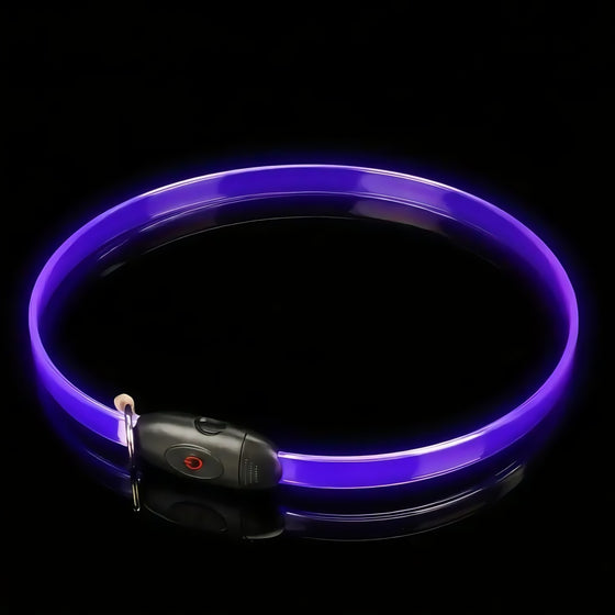 LED Dog Collar Collars, Leashes & Harnesses product image 1