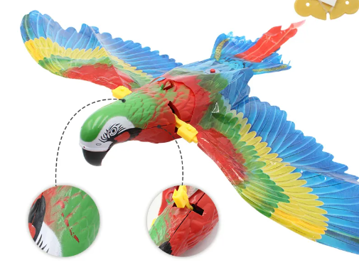 Soaring Eagle cat teaser, cat playing with toy