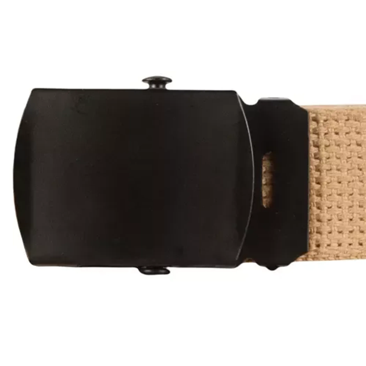 Black Roller Buckle 12-Pack