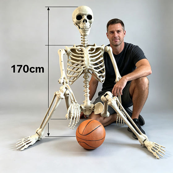 Halloween Skeleton Skeleton