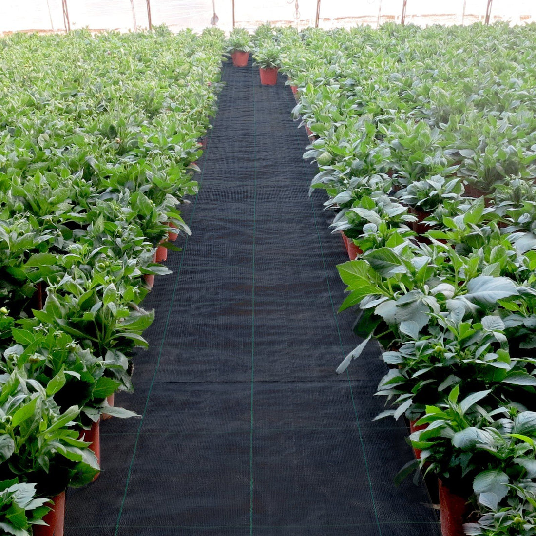 4FT x 300FT weed barrier fabric roll main view