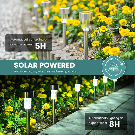 Solar Powered Outdoor Garden Light