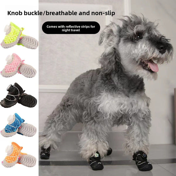 Schnauzer in dog shoes beside swatches in green, pink, black, blue and orange