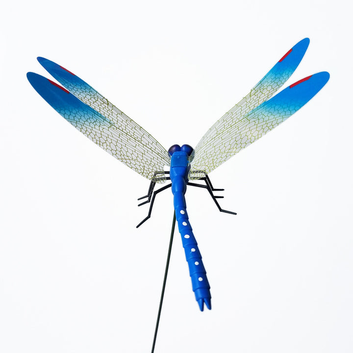 Dragonfly decoration on a fence panel