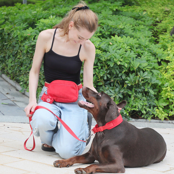 Corduroy Dog Collar, Leash, Harness and Bag Set, S to XL, image 2 of 24