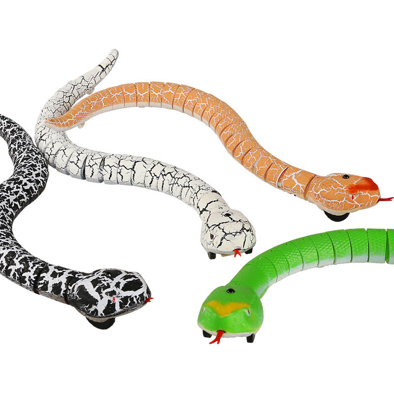 Remote Control Snake