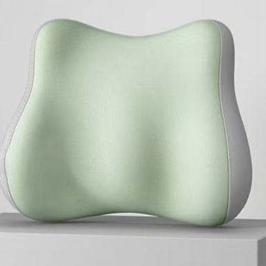 Ergonomic Memory Foam Lumbar Support Seat Cushion