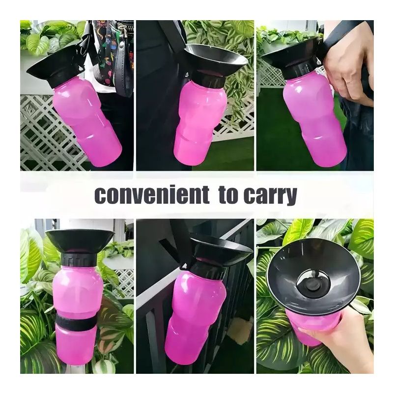 Portable pet water bottle being carried on a walk