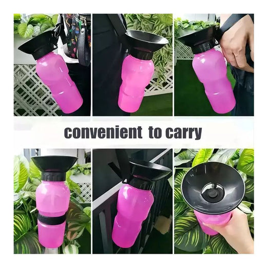 Portable pet water bottle being carried on a walk