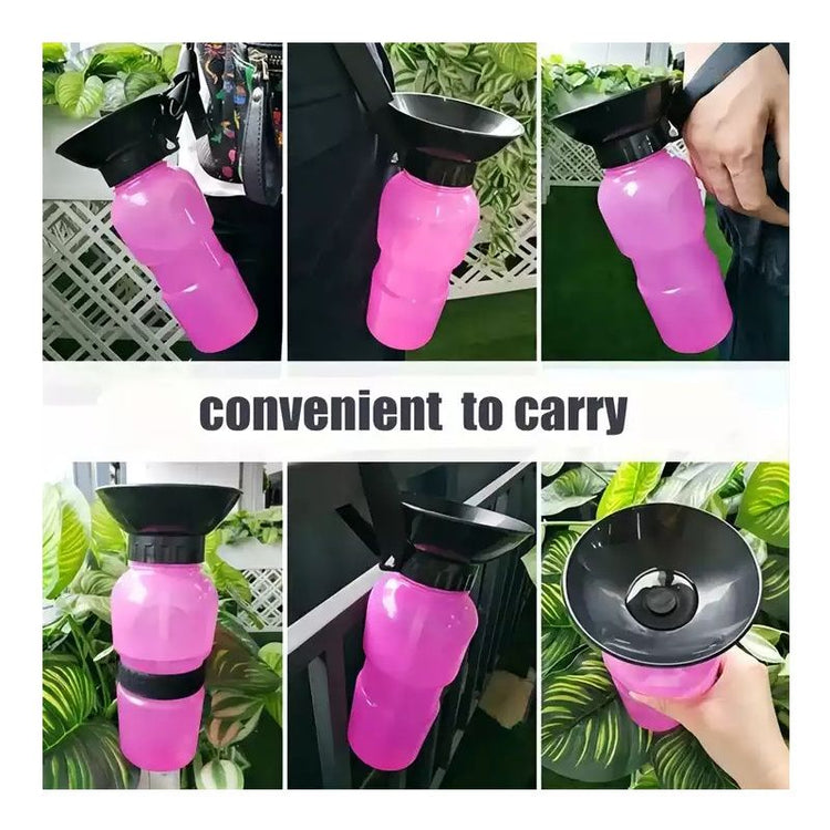 Portable pet water bottle being carried on a walk