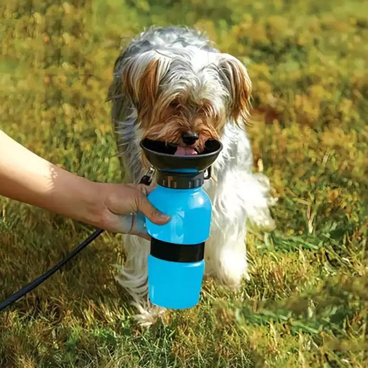 Press button dispensing water on pet bottle