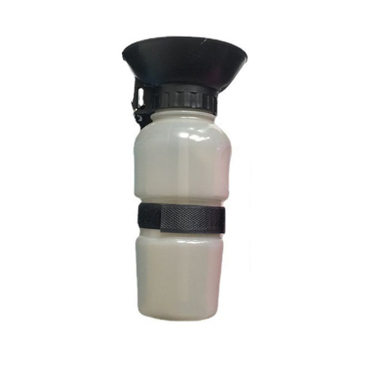 Pet water bottle 500ml size reference on a hike