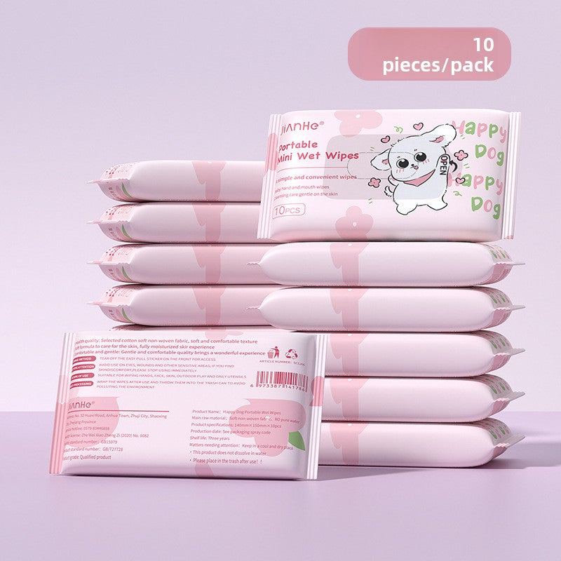 Mini Portable Wet Wipes Pack