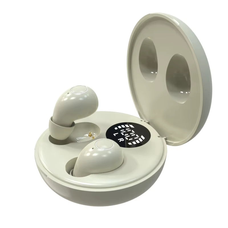 Wireless earbuds packaging contents view