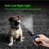 Remote dog training collar
