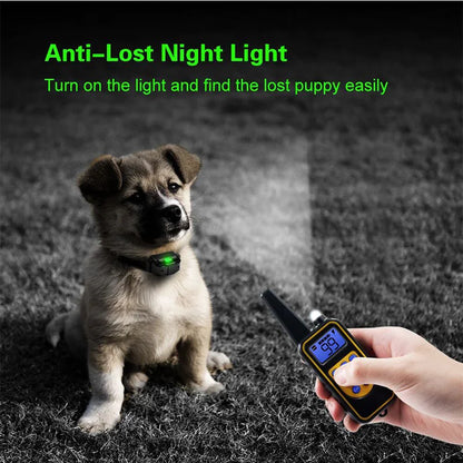 Remote dog training collar