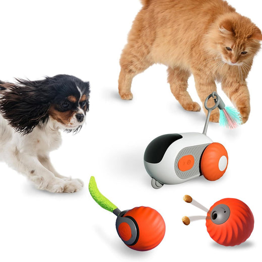 Intelligent Gravity Sensing Remote Control Cat Toy