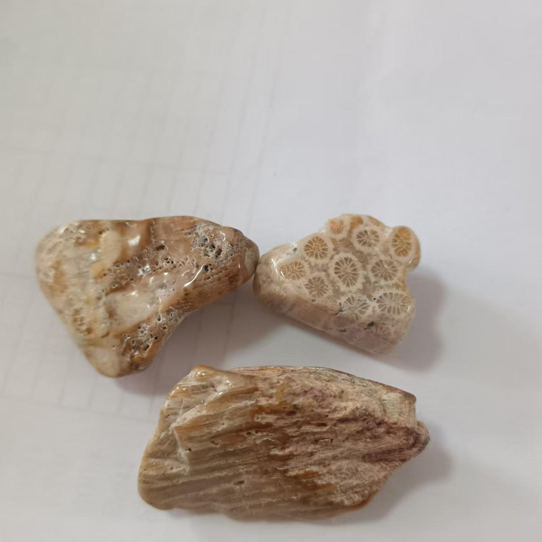Natural Crystal Mineral Specimens Educational Set