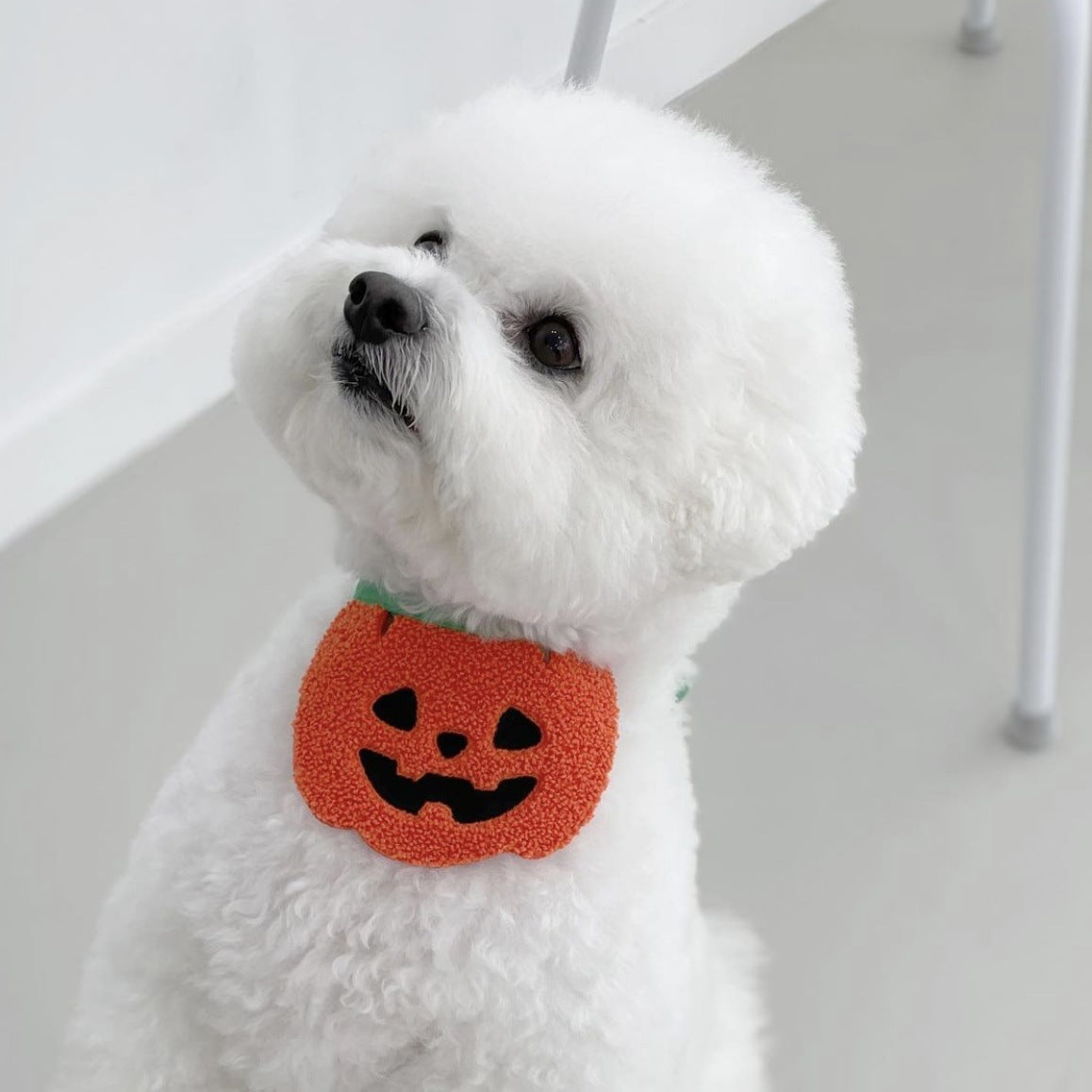 Cute Halloween Dog Apron