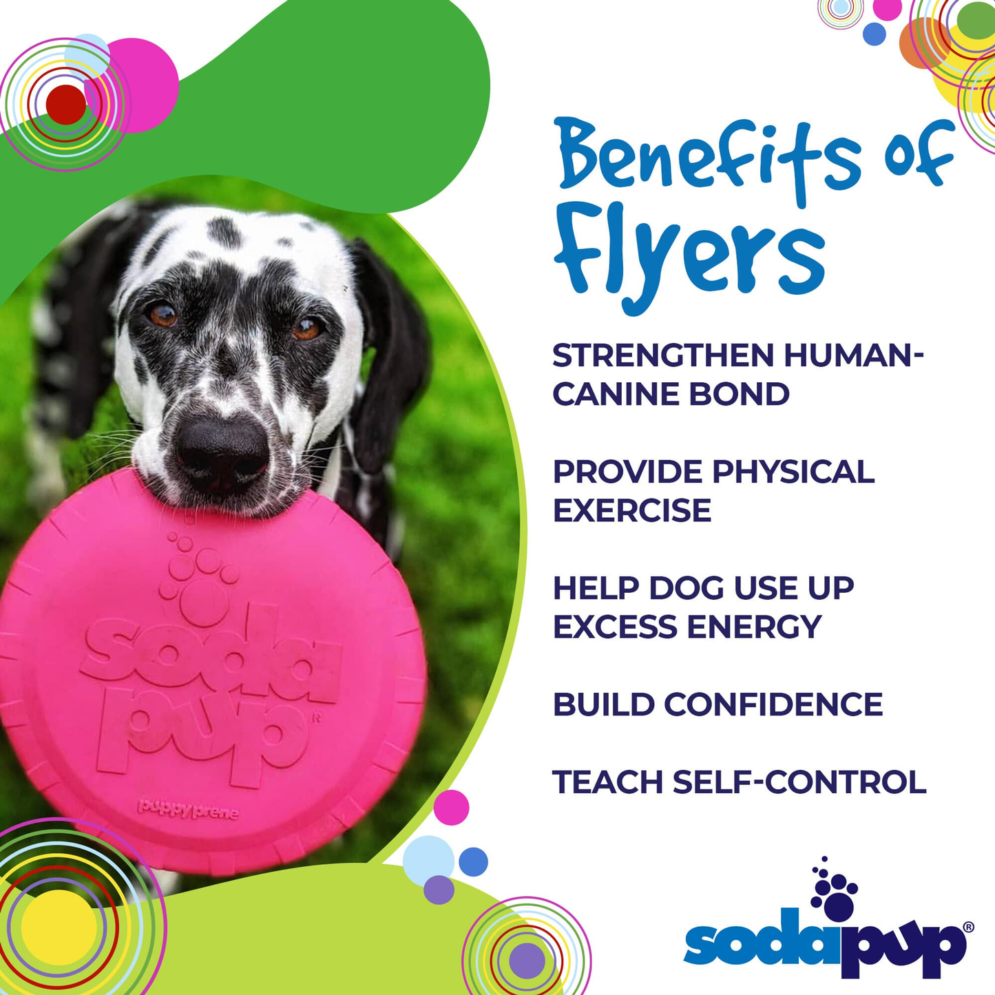 SP Puppy Bottle Top Flyer Rubber Retrieving Frisbee