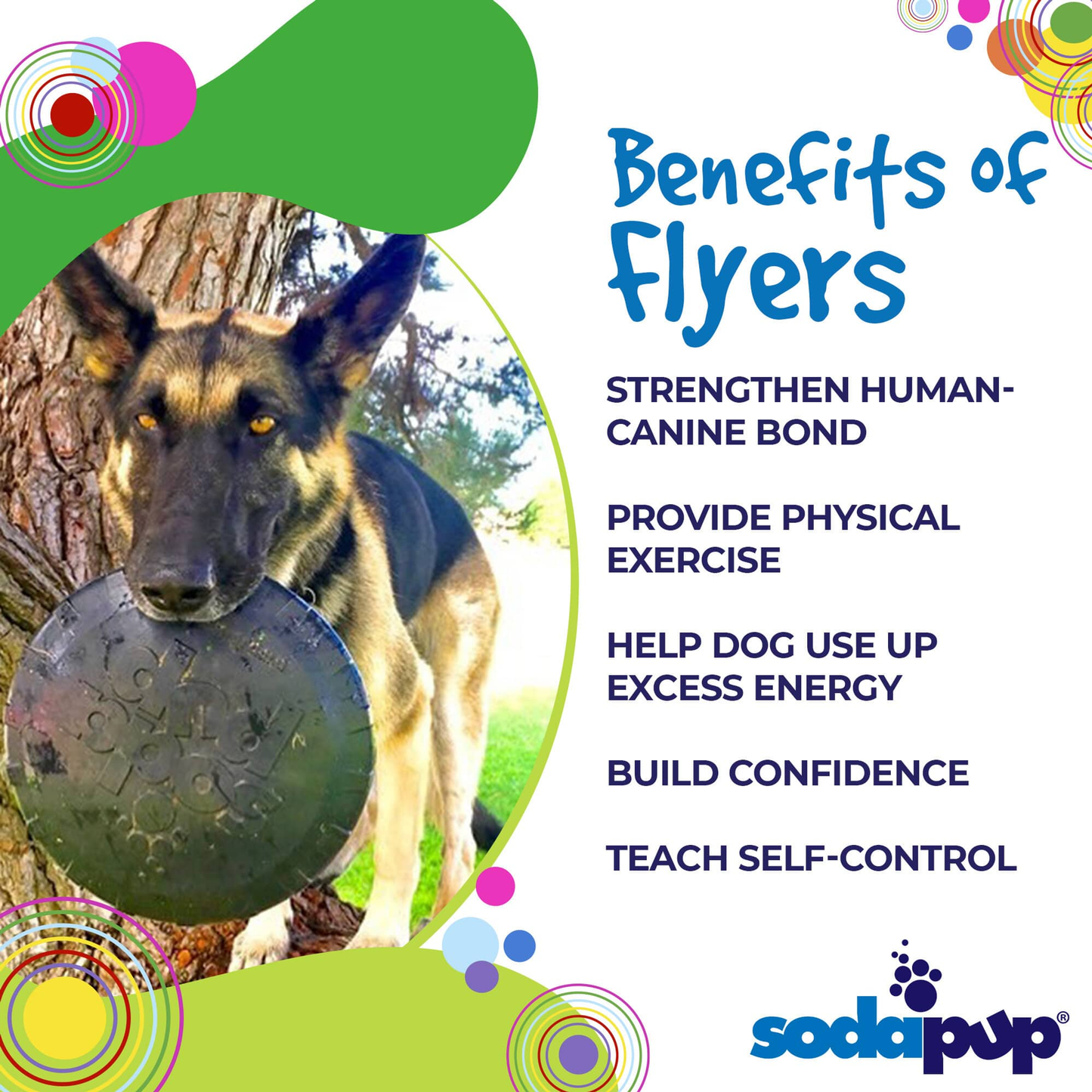 Magnum Bottle Top Flyer Durable Rubber Dog Frisbee