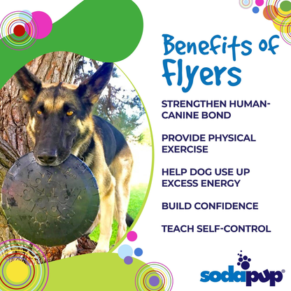 Magnum Bottle Top Flyer Durable Rubber Dog Frisbee