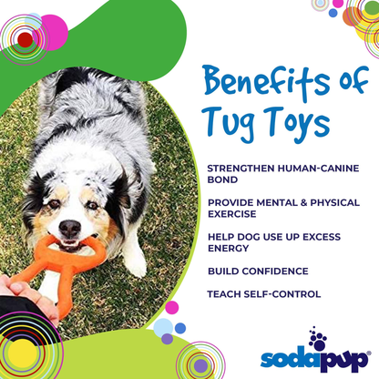 Pop Top Rubber Dog Tug Toy for Interactive Play
