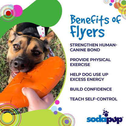 Bottle Top Flyer Durable Rubber Dog Frisbee