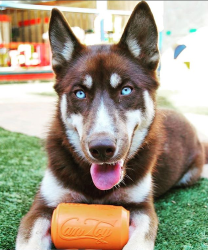SodaPup Can Toy Rubber Chew Toy and Treat Dispenser