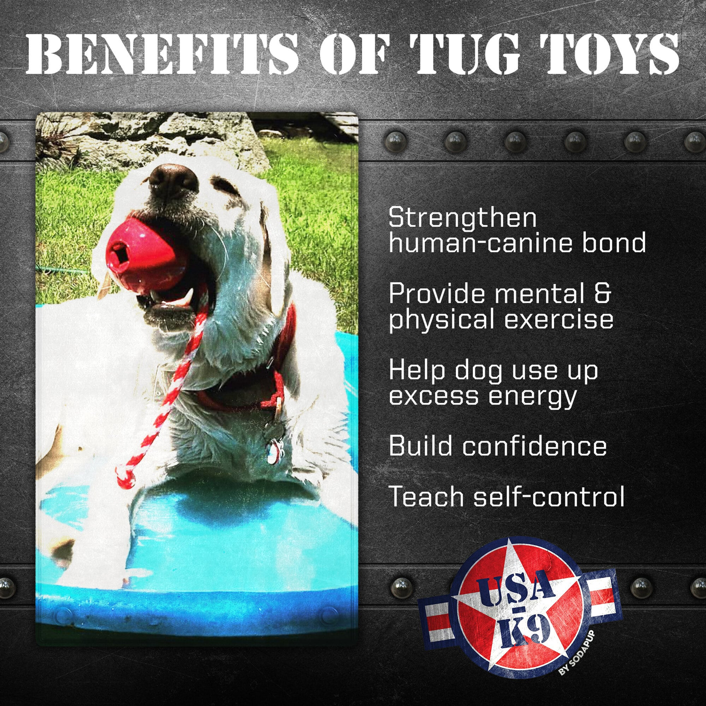 USA-K9 Cherry Bomb Rubber Dog Chew Toy & Treat Dispenser (Red)