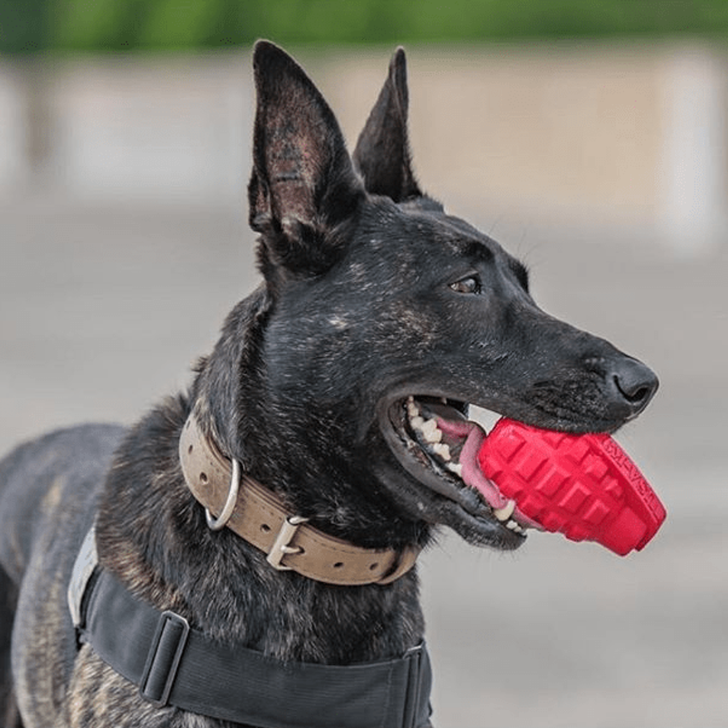USA-K9 Grenade Rubber Dog Chew & Treat Dispenser
