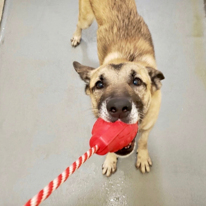 USA-K9 Grenade Rubber Chew Toy and Treat Dispenser