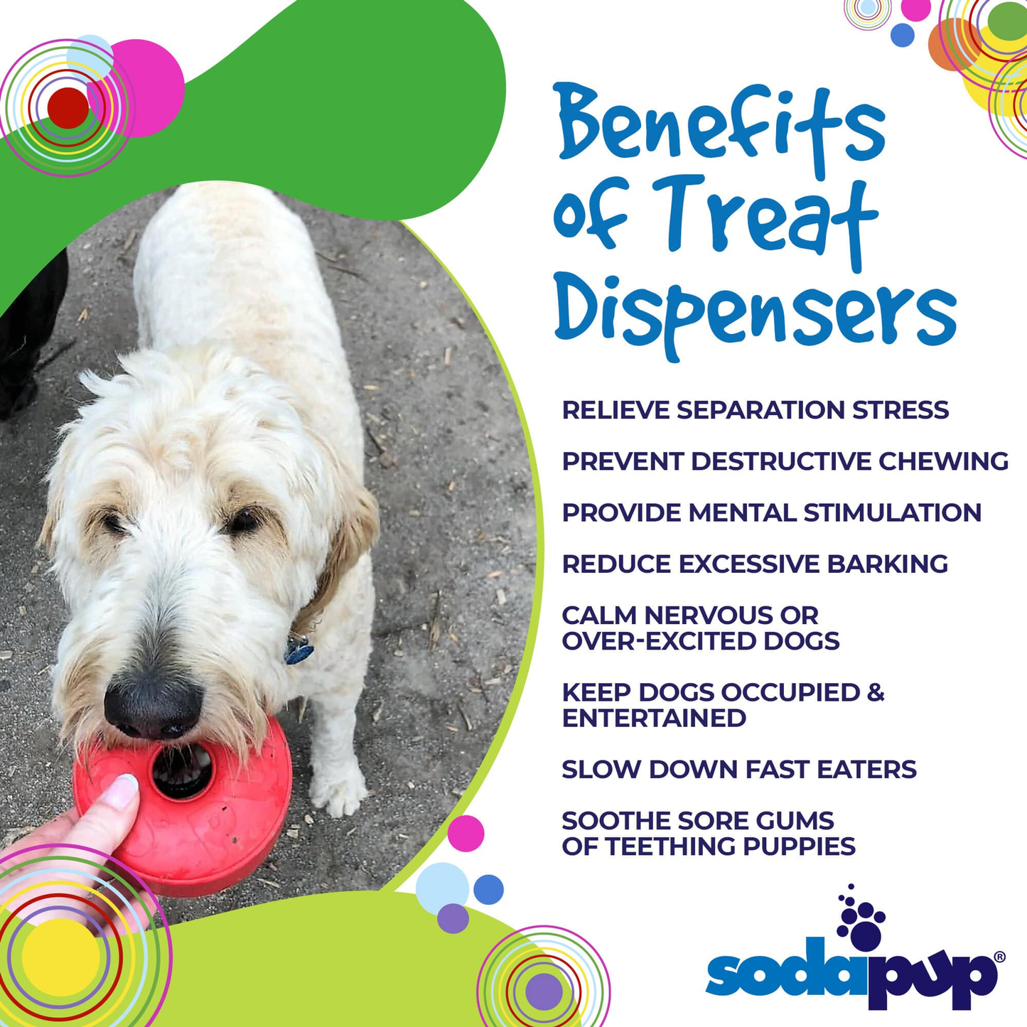 Life Ring Rubber Dog Chew Toy & Treat Dispenser
