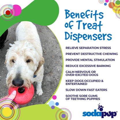 Life Ring Rubber Dog Chew Toy & Treat Dispenser