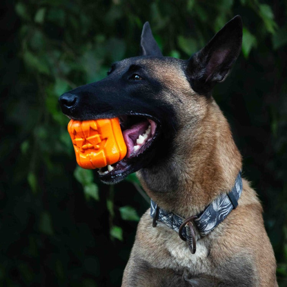 Jack O' Lantern Durable Rubber Dog Chew Toy & Treat Dispenser