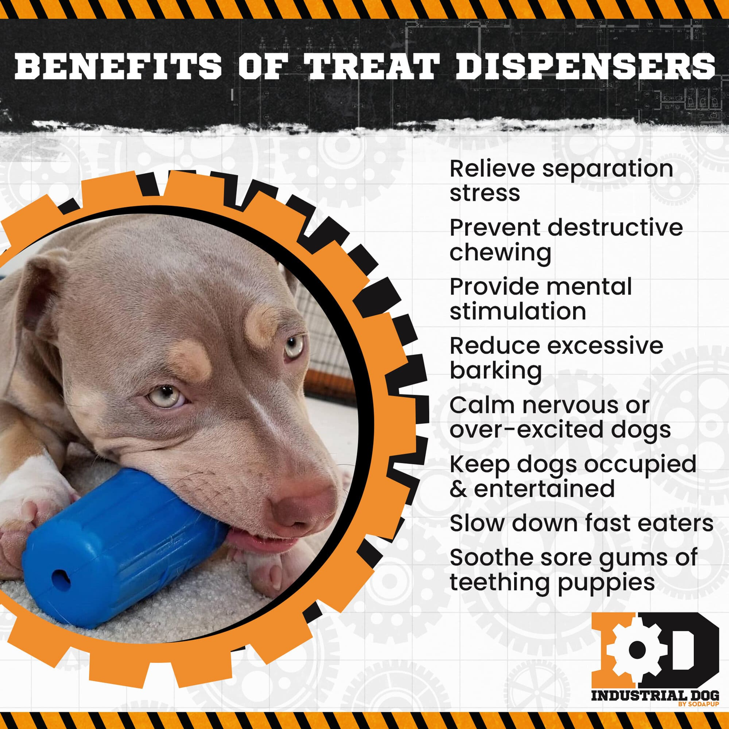ID Wire Nut Durable Rubber Dog Chew Toy & Treat Dispenser