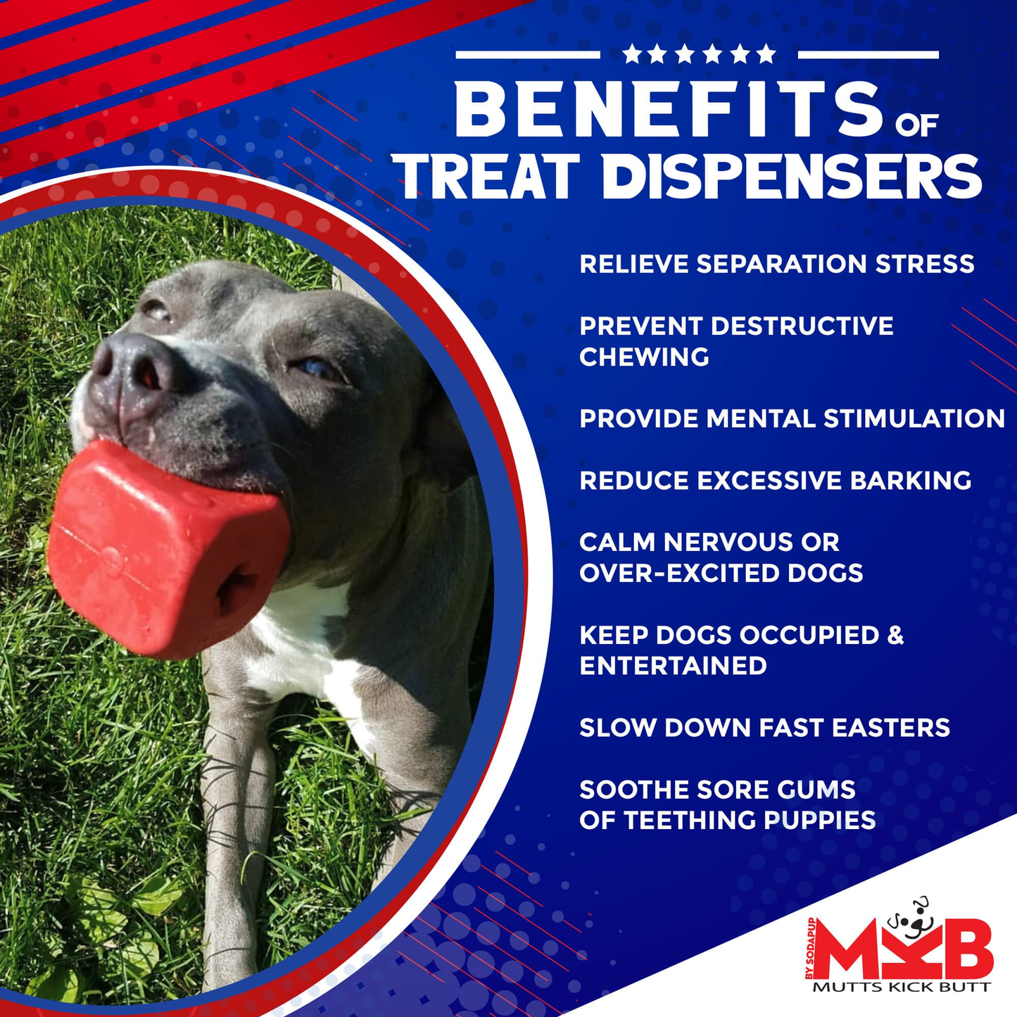MKB Dice Durable Rubber Dog Chew Toy & Treat Dispenser