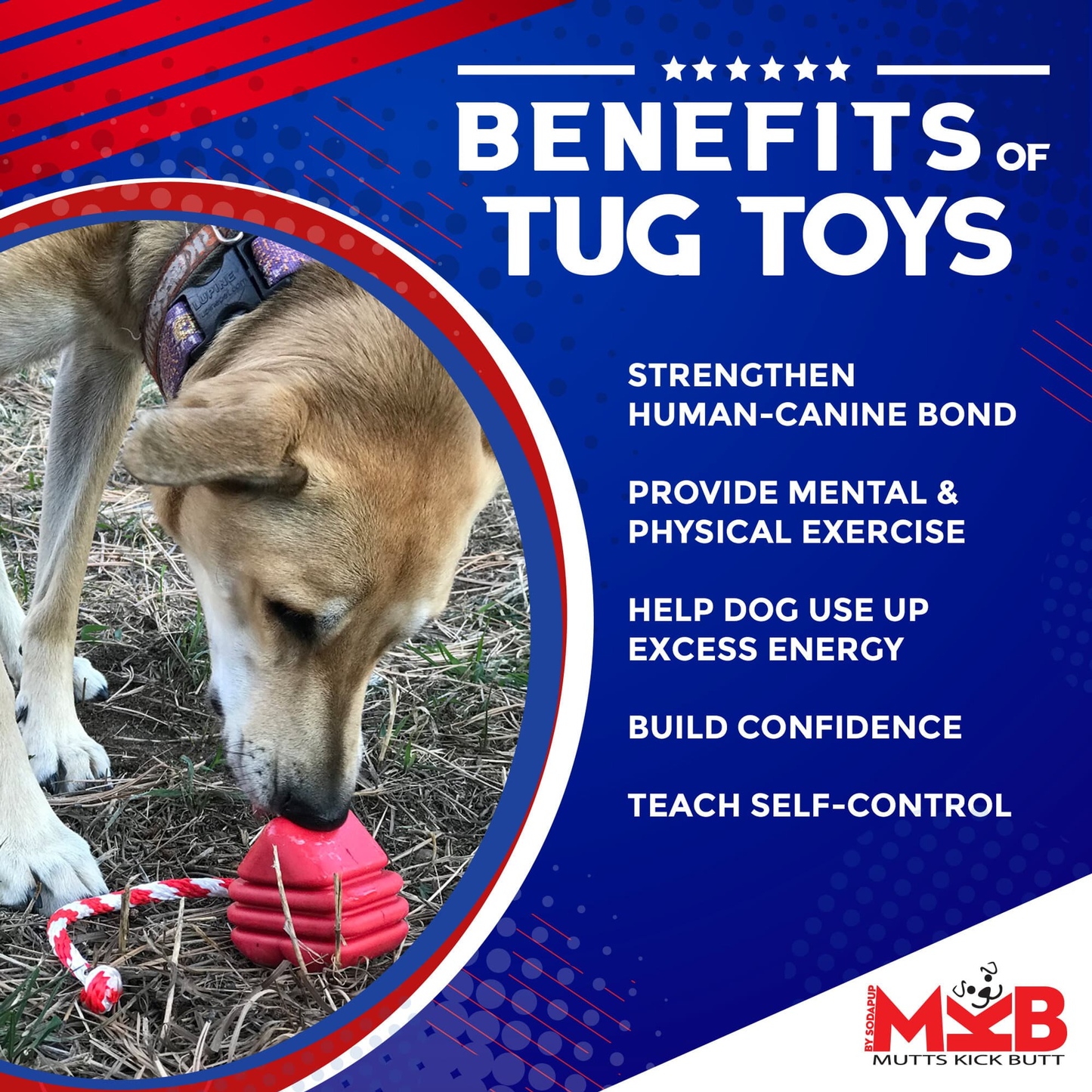 Heart on a String Durable Rubber Dog Tug & Reward Toy