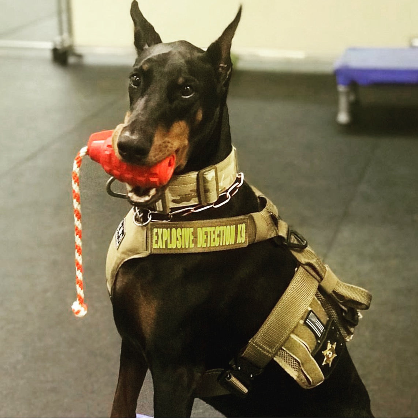 USA-K9 Grenade Durable Rubber Dog Chew Toy & Treat Dispenser