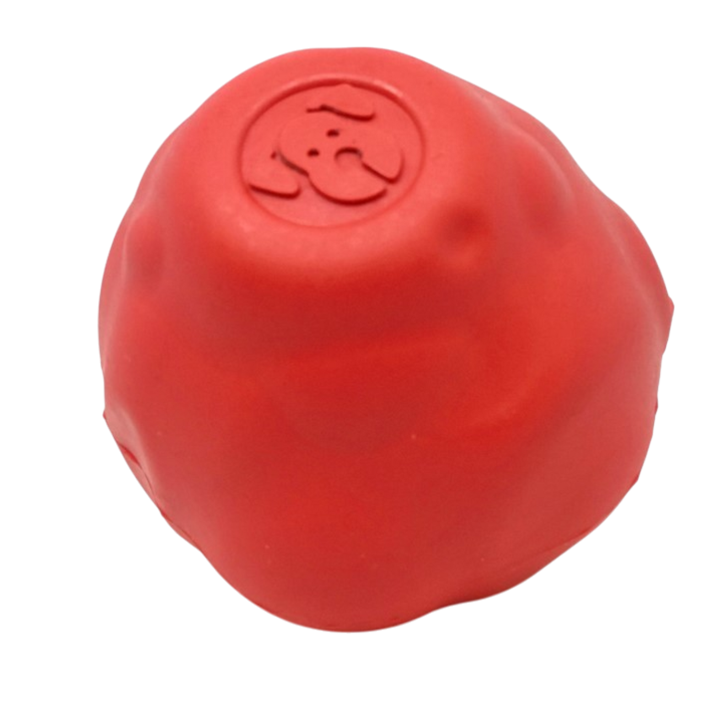 Asteroid Ultra-Durable Rubber Dog Chew & Fetch Toy