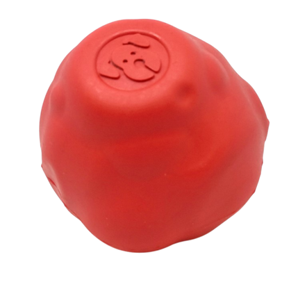 Asteroid Ultra-Durable Rubber Dog Chew & Fetch Toy