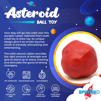 Asteroid Ultra-Durable Rubber Dog Chew & Fetch Toy